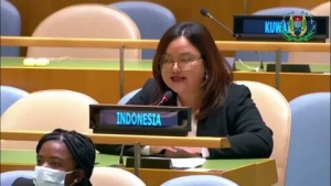 Индонезия вышла из ООН