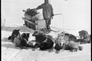 Открытие южного магнитного полюса Земли