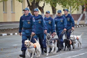 Основана кинологическая служба МЧС России