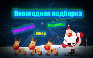 День просмотра смешных новогодних видео