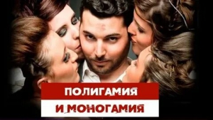 День мужской полигамии