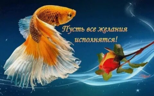 День исполнения всех желаний и фантазий