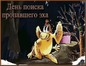 День поиска пропавшего эха