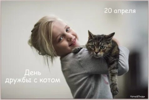 День дружбы с котом
