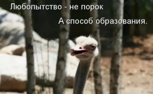 День удовлетворения собственного любопытсва