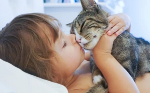 День заботы о любимом коте