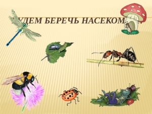 День защиты насекомых