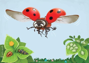 День полета божьих коровок