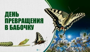 День превращения в бабочку
