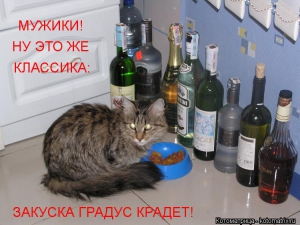 День выпивки без закуски