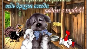 День верного друга