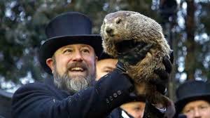 День барсука