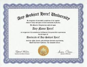 День попытки оправдать важность своего диплома