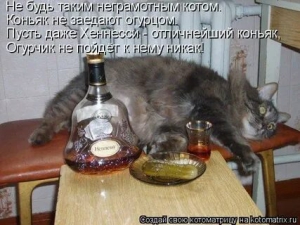 День, когда пора бухнуть коньячку с друзьями