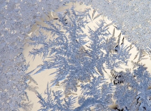 Тимофеев день, Тимофей – полузимник