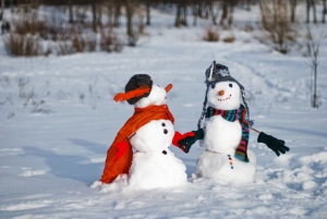 Данилов день