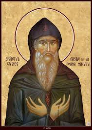 Василий Поляномерульский (Пояна-Мэрулуйский)